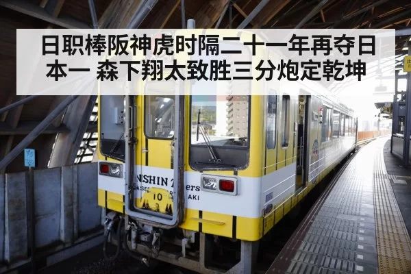 Hanshin Tigers celebration