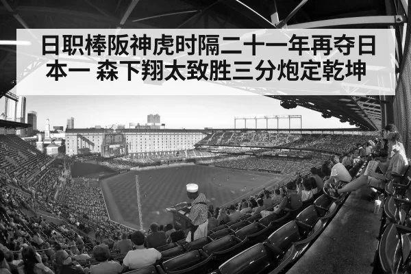 baseball stadium crowd